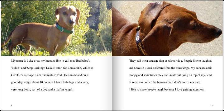 Preview Book